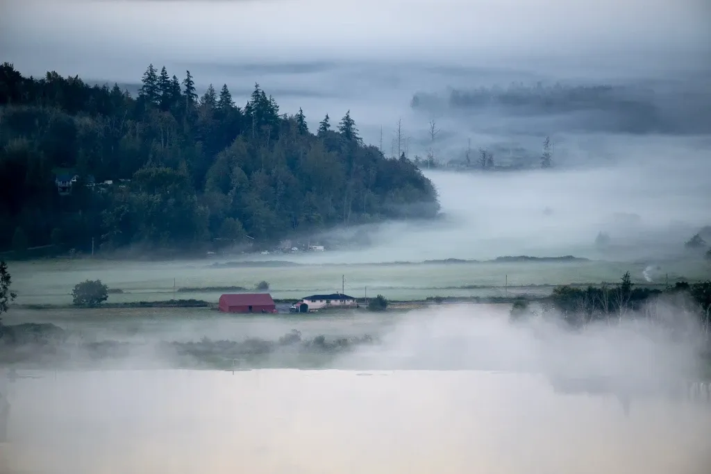 Misty morning over Clear Lake, Skagit Valley