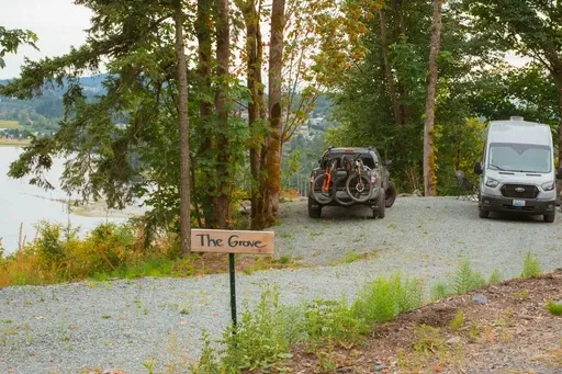 A campsite in the grove